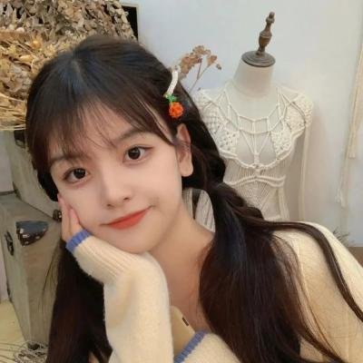 丑闻录带大阴谋
